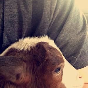 Meet your Posher, Rj